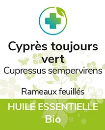 Cyprès toujours vert BIO 5 ml