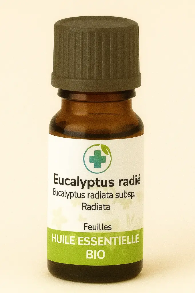 Eucalyptus radié BIO 12 ml
