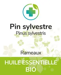 Pin sylvestre BIO 12 ml