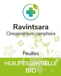 Ravintsara BIO 12 ml