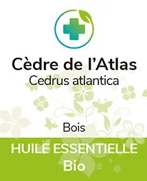 Cèdre de l'Atlas BIO 5 ml