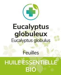 Eucalyptus globulus BIO 12 ml