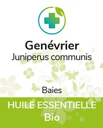 Genévrier (baies) BIO 5 ml