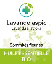 Lavande aspic BIO 12 ml