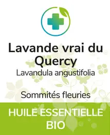 Lavande vrai du Quercy BIO 12 ml
