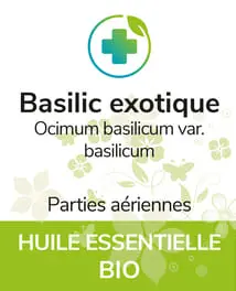 Basilic exotique BIO 12 ml